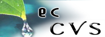 eccvs logo